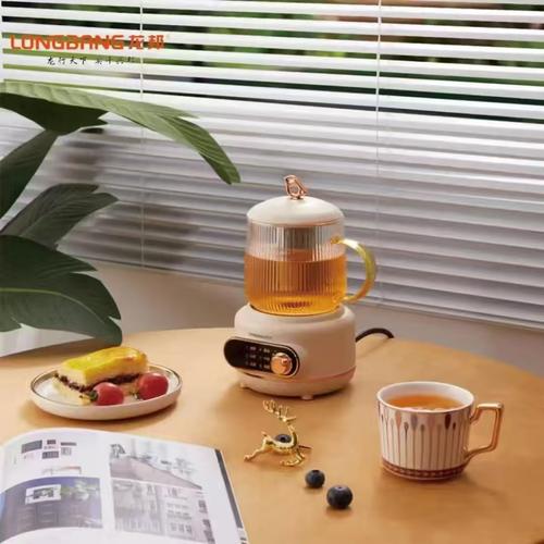 養(yǎng)生壺龍邦廠家、品牌、圖片與熱帖全解析｜一個(gè)茶飲愛好者的選購(gòu)避坑指南